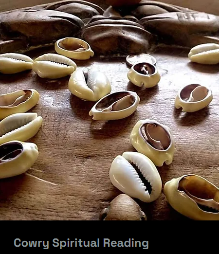 Coupling And The Cowry -Dowsing, Cowry Readings, Tantra